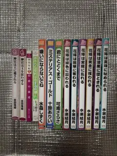 BL小説各種　合計13冊