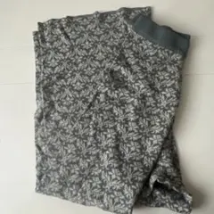 Item thumbnail for item 36b72032-99a0-449d-9478-ea3ff1dd9039