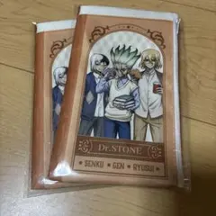 Dr.STONE BOOK風フラットポーチ 2個セット