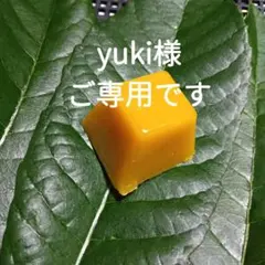 yuki様ご専用です。ニホンミツバチの蜜ろう15g×2個 No118＋No121