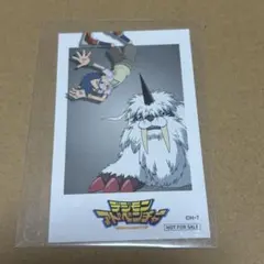 2026年最新】デジモンアドベンチャー カードの人気アイテム - メルカリ