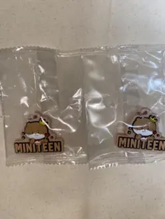 MINITEEN CHANDALEE ディノ