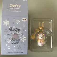 シークレットオブスノーウィーデイ　チャーム　ディズニーシー　クッキーアン