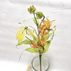 鬼灯(ほおずき)3本セット/ディップフラワー・ディップアート