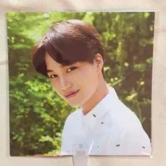 EXO ネイチャーリパブリック うちわ カイ KAI