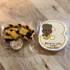 お値下げ 三代目JSB 三代目 ELLY メモ リストバンド ヘアバンド