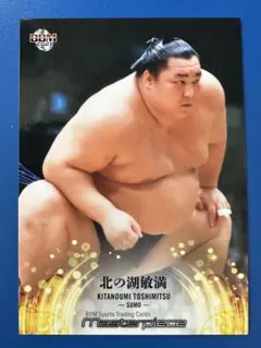 2026年最新】北の湖の人気アイテム - メルカリ