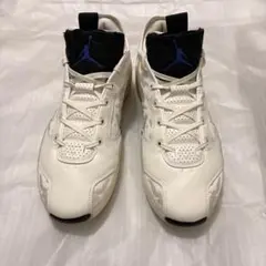 Nike Air Jordan 39 29cm