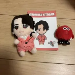 KIS-MY-WORLD 北山宏光 ぬいぐるみ 10個セット バラ売り可能 - メルカリ