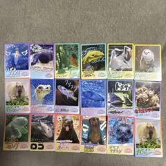 2026年最新】鳥羽水族館カードの人気アイテム - メルカリ