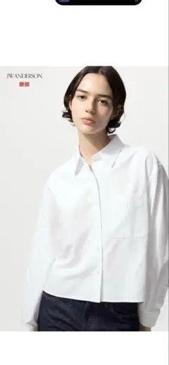 タイムセールUNIQLO JWANDERSON L