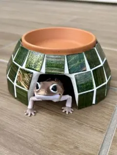 Item thumbnail for item c51d23aa-d6a1-440e-8dae-8b73e82c84b5