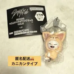 SKZOO つまんでつなげてますこっとvol.2 フォクシニー ジニレット