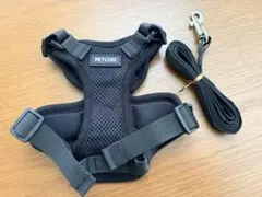 Item thumbnail for item 632bb9a1-ae16-431b-9f04-45ab1f38b391