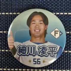 Item thumbnail for item 577c4e12-8af3-4e35-a98b-03209935d6c5