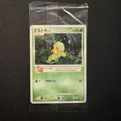ナエトル ヒコザル ポッチャマ 3枚入り 未開封 プロモ PPP ポケモン