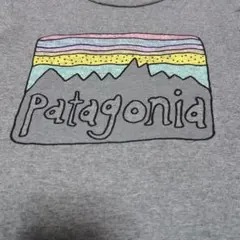 Patagonia グレー Tシャツ