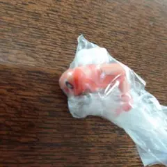 ポケモン マスコット シャリタツ 3種　ヘイラッシャ