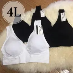 ノンワイヤー ブラジャー 3枚セット　4L ホワイト ブラック 白 黒