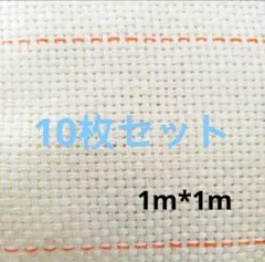 Item thumbnail for item 1045d475-414e-4715-8439-d331e9f5f81b