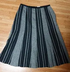 ラインの入ったスカート