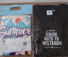 М WELTRAUM Star T−shirt サマークールオフ　ゼンジン М WELTRAUM Star T−shirt サマークールオフ ゼンジン - メルカリ