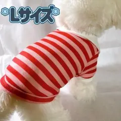 犬服猫服　ペット服　ペットウェア　ドッグウェア　ポロシャツ③/Lサイズ