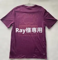 ICEBREAKER ウール100％ Tシャツのサムネイル