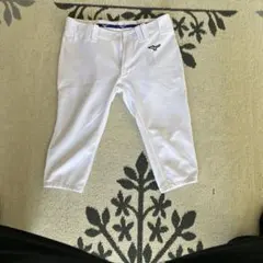 Item thumbnail for item 93b18b6b-480e-49db-8699-73427e5e5854