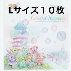 ディズニーリゾート　ダッフィーフレンズ 2周年　ショッピング袋　　Lサイズ