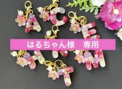 はるちゃん様　専用　M ミニミニイニシャルチャーム　レジン　ハンドメイド