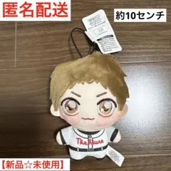 おおきく振りかぶって ちょぴぬいぷち 田島悠一郎 - メルカリ
