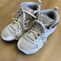 asics バスケットボールシューズ 19センチ