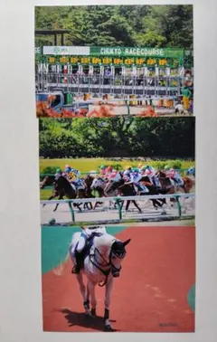 【競馬写真】レース・スタートシーン 3枚セット／動きのある迫力写真（L版）
