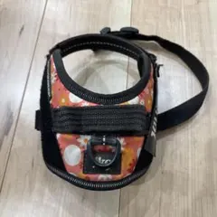 Item thumbnail for item a072f5af-89e1-4dd1-af1a-33b6e2698b35