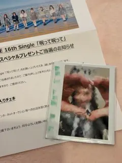 AKB48 佐藤綺星まさかのConfession幕張全国握手会 サイン入りパネル