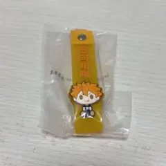 ハイキュー 一番くじ ぽこっとちゃーむ 日向飛陽