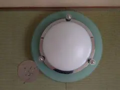 Item thumbnail for item 98d67222-c980-4d19-869e-c17c28be6767