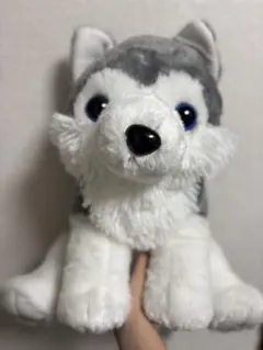 Jockline ジョックラインぬいぐるみシベリアンハスキー狼オオカミ