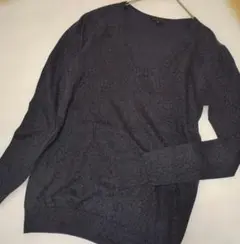 Item thumbnail for item 3dcf4544-769e-4595-b642-de689c26bccf