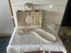 Item thumbnail for item 2c9cedd4-567c-4fe2-a726-85e8413c1309