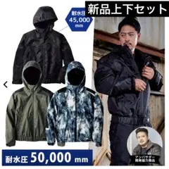 Item thumbnail for item 6853a039-b75a-4a63-be0d-da387d557b99