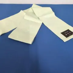 薄緑色 ストライプ 花柄 半幅帯