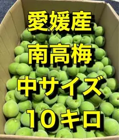 121❤️♦️青梅10kg Sサイズ　B級　紅さし 121❤️♦️青梅10kg Sサイズ B級 紅さし - メルカリ