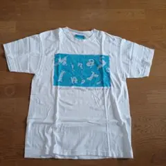 Item thumbnail for item 7a8122d8-4727-464a-baac-d1af8774d175