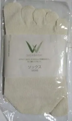 Item thumbnail for item 4b0aacb6-4e8a-4194-a1fc-45d6d79c5937