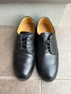 Item thumbnail for item 8656e465-9eeb-4d3d-a1cf-b3e7f16ca970