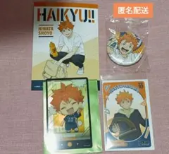 日向翔陽　クリアカード、ブロマイド、缶バッジ　4点セット