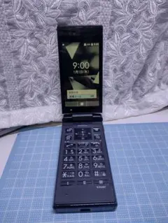 Item thumbnail for item d7d26419-bc95-4f01-a2a4-4dd0befdfb82