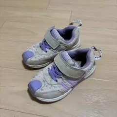 Item thumbnail for item 53784feb-7529-4cec-8b3a-e1f9061b18fb